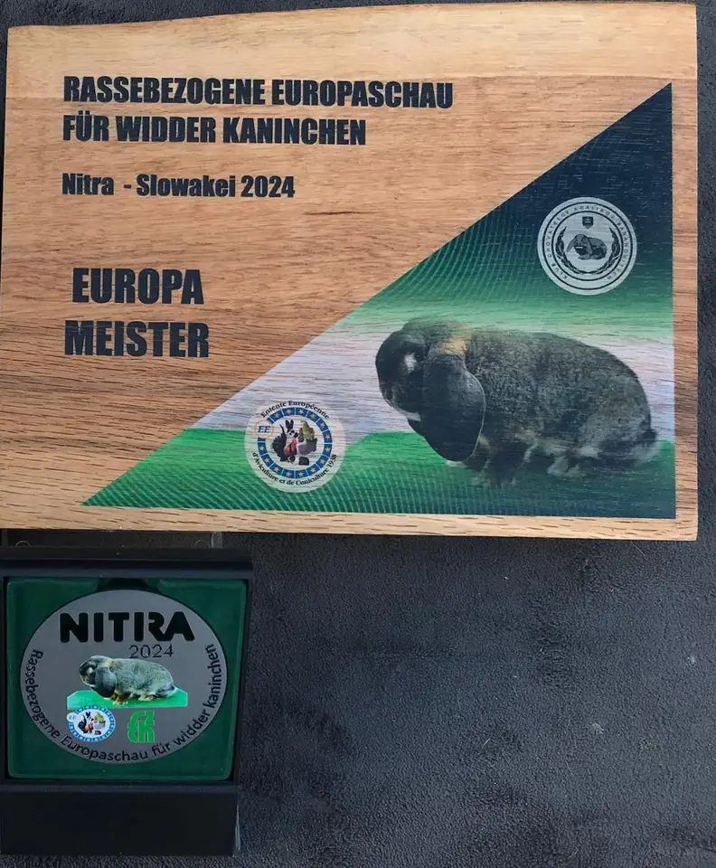 Plaketa Evropský mistr, Nitra 2024