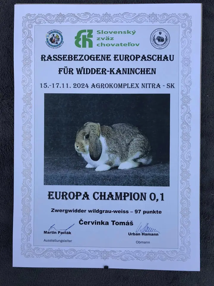 Diplom Evropská šampionka, Nitra 2024