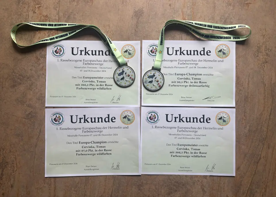 Diplomy a&nbsp;medaile z&nbsp;Pirmasensu